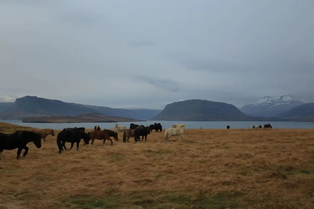 涔℃潙鏋佺畝浣忓畢,涔℃潙浣滃