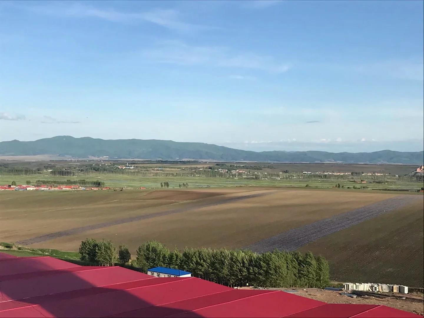 酒逢知己千杯少棋逢对手趣亦多,酒逢知己方尽兴人到醉时显真情