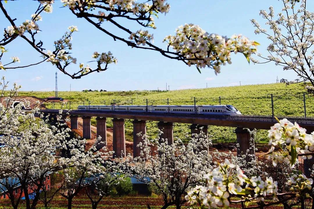 高铁不晕车的原因,坐高铁为什么感觉不到快