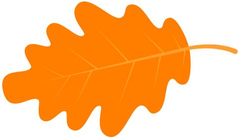 哇!共享让教育这么精彩