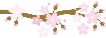 50以后切除卵巢对身体有什么影响,切除了卵巢