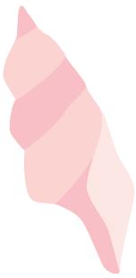 成都电商主要经营哪些,成都电商营业执照一般多久办下来