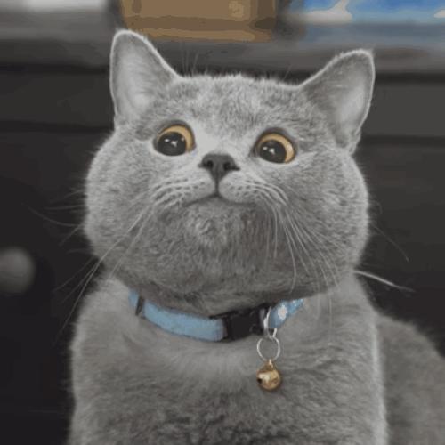 买的房子楼上太吵了没办法住,花了五百万买的房