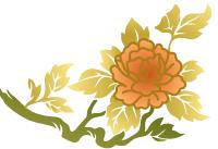 工作参阅｜为什么要建立社区基金会？