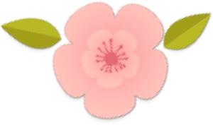 btv节目连续剧,btv节目预告