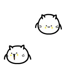 青岛经典啤酒餐厅,青岛好吃的啤酒餐厅有哪些