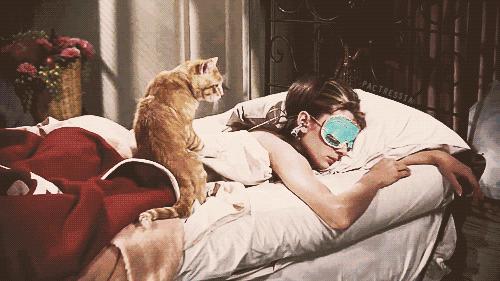 丹麦皇室用什么枕头好 (丹麦最好用的枕头)