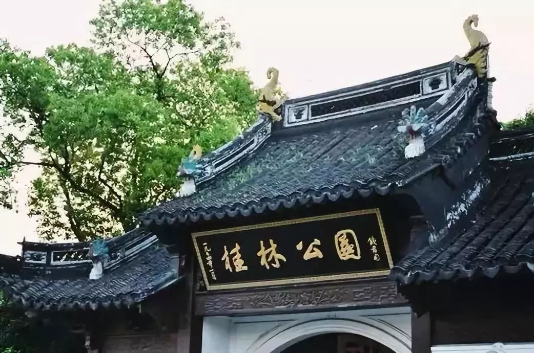 「乐活」寻找秋天的香气,这份赏桂地图请收好~