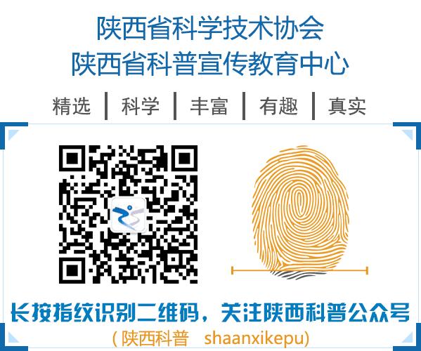 A型血和o型血能结婚生小孩吗,老婆a型和老公b型血能生出o型血吗