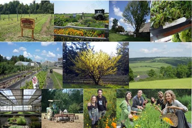 拼团｜富含金缕梅精华的爽肤水