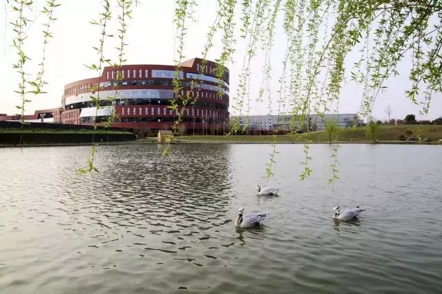 南京三胞集团总部大楼,南京三胞集团最新消息