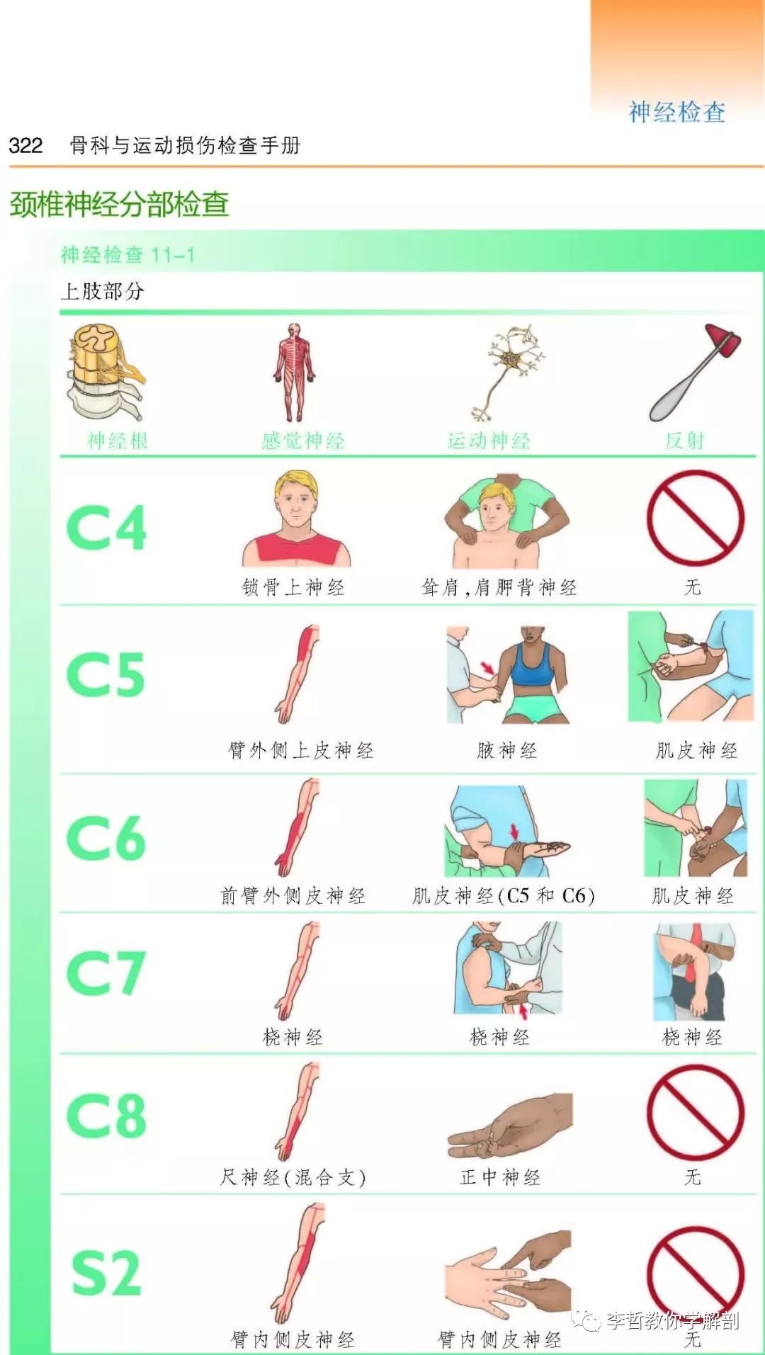 好书推荐|《骨科与运动损伤检查手册》一本康复医生必须标配的书籍