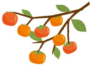 身影或许略显蹒跚，心中仍是追风少年——“烟台农商银行”最靓足球拍档展示就等你了！