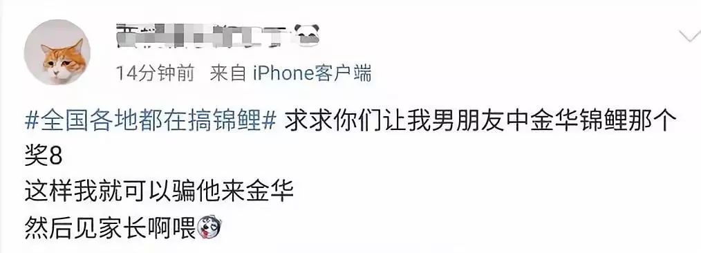 锦鲤骗局细思极恐,锦鲤骗局揭秘最新消息