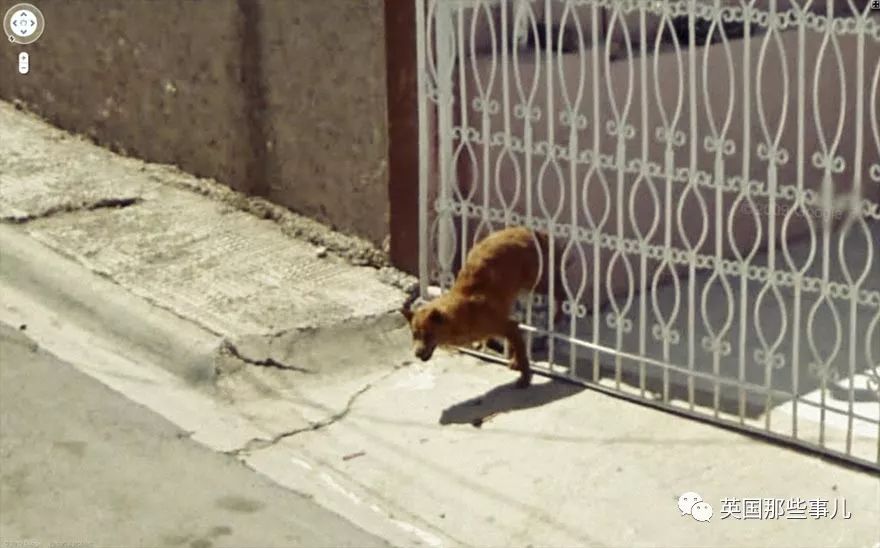 通过谷歌街景看到自己被绿的证据,谷歌街景看到自己绿的证据