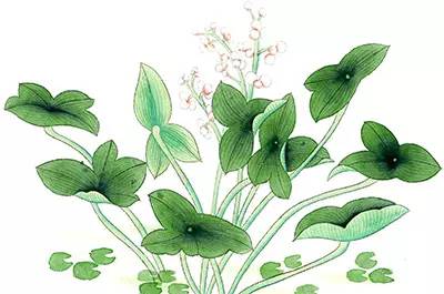 妥善存放和正确使用农药等有毒物品，谨防儿童接触