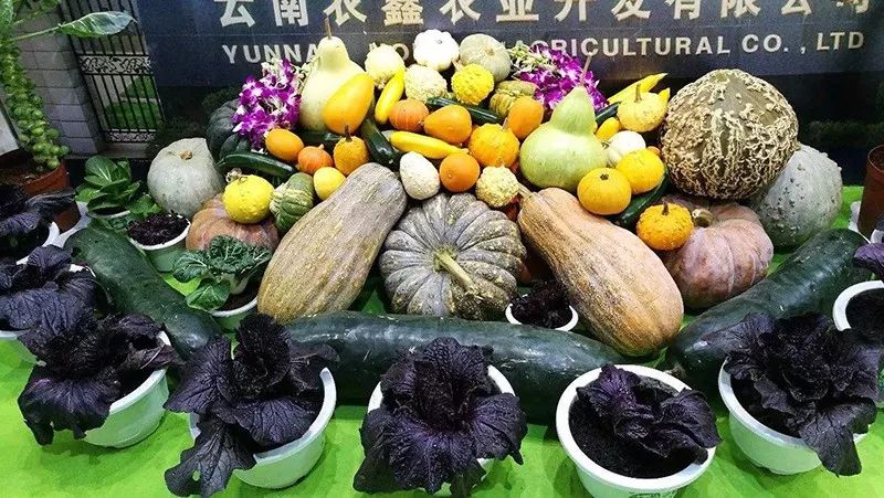 大理各县份特产,大理最高级的特产