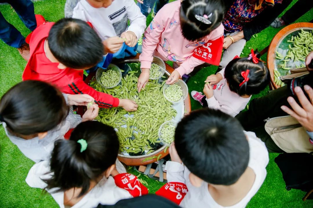所有人奔向城市，她选择回到浦南