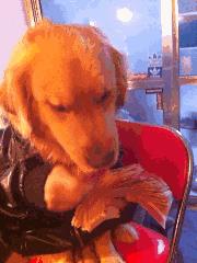 南阳的人均工资是多少,南阳平均工资排名