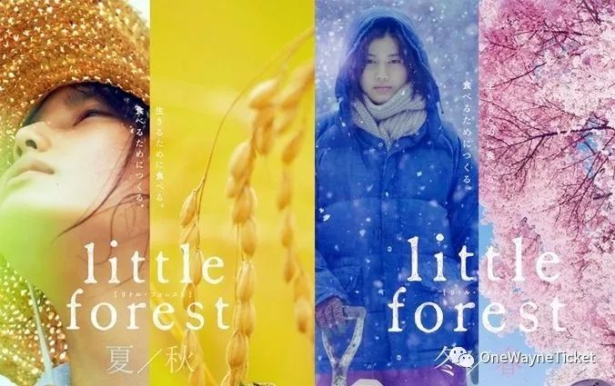 浮游纪,浮游纪在线阅读