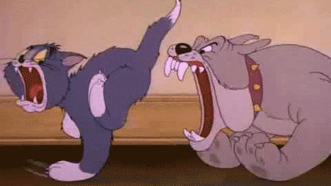 孕期玩手机会造成胎儿畸形吗,孕期养宠物导致胎儿畸形