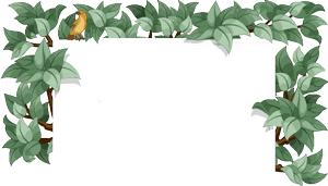 牙缝太大会有影响吗,牙缝大会影响颜值么