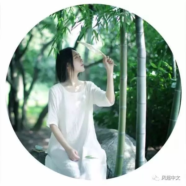 白落梅与雪小禅的区别,雪小禅白落梅