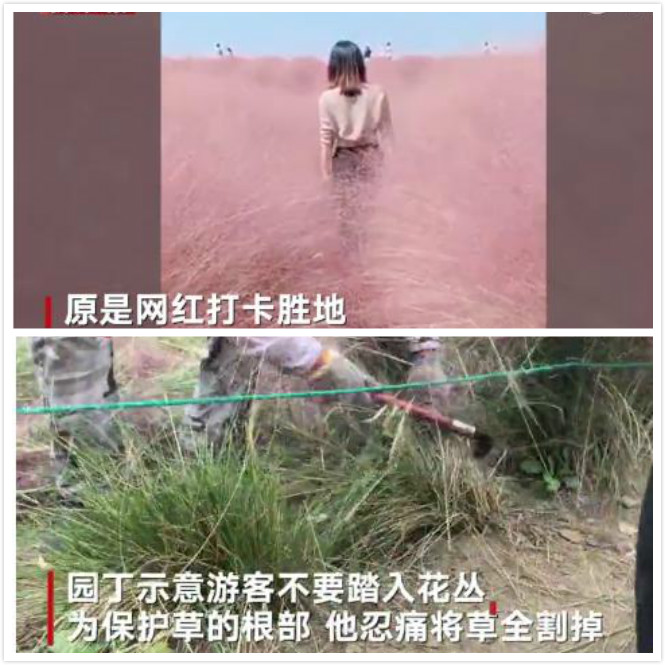 张家口新闻联播回放10月21号,张家口新闻联播2月7日