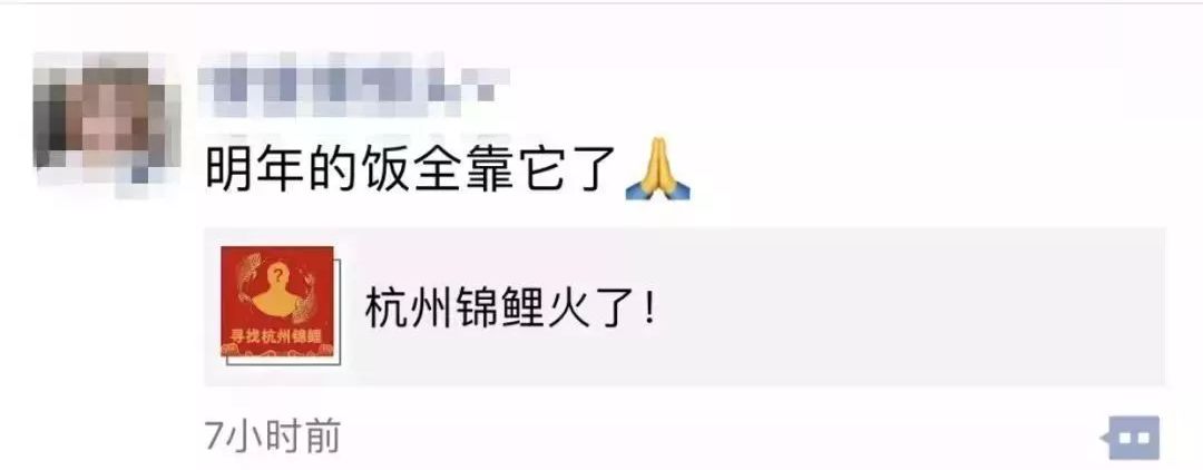 锦鲤为什么那么火,锦鲤为什么火了