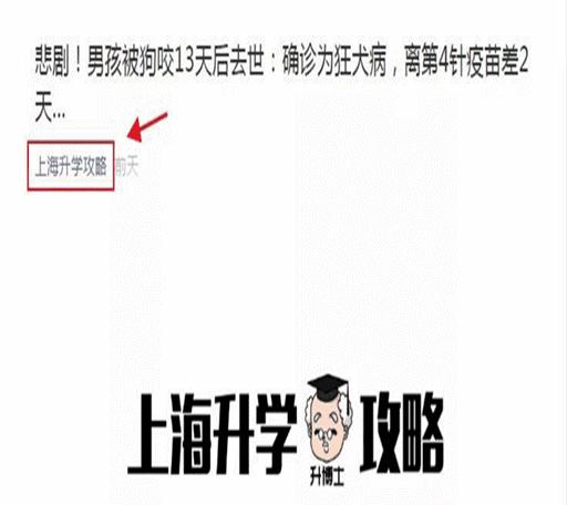 2019年青岛市家庭教育示范校公示,家庭教育示范校名单