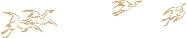 【原创文章】石拐沟的四位日洋人（一）