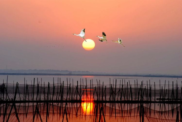 南昌安义县旅游必去十大景点,南昌亲子游必去十大景点