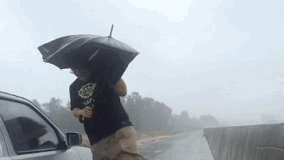 厉害了！这把伞一键自动开收伞，能抗8级大风