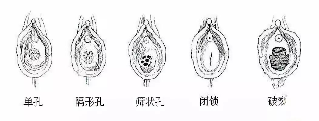 「看过来」感觉处女膜要长出来了~