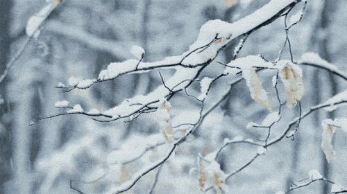 最低气温将跌至零下20度,四川省南充市低气温