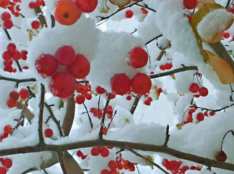 游·达坂城｜下雪了，一起来达坂城看美景~