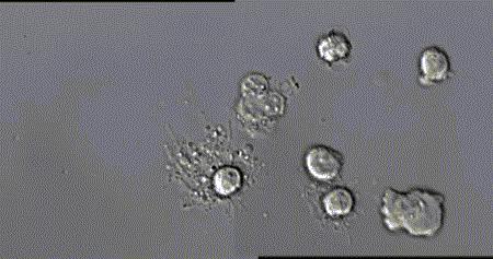 带你声临其境探索宇宙,带你探索维度空间