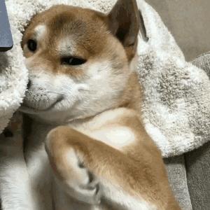 过海关带什么东西要罚款,过海关所有东西都会被查吗