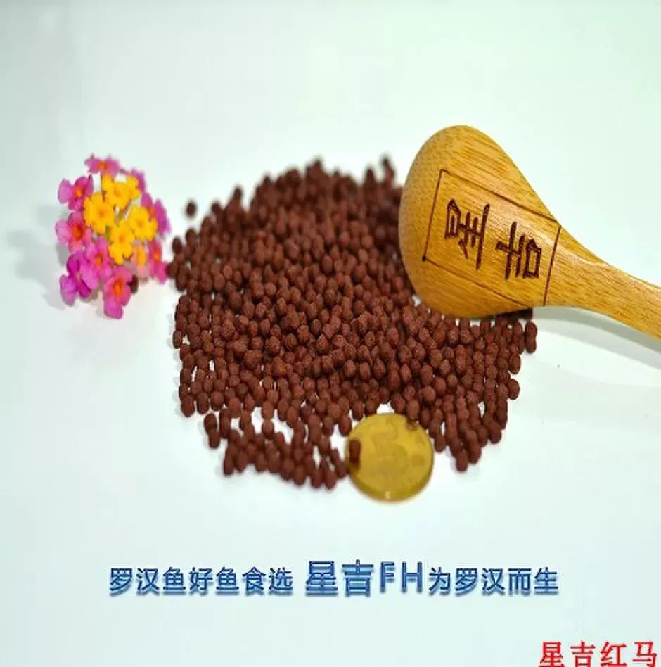 养殖罗非要多久,养殖罗非要几个月