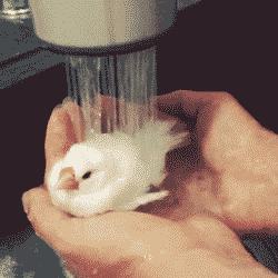 涨知识为什么地下水冬暖夏凉,涨知识冷水泡澡