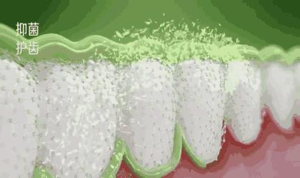 十大美白牙齿牙膏,美白去渍牙膏澳洲