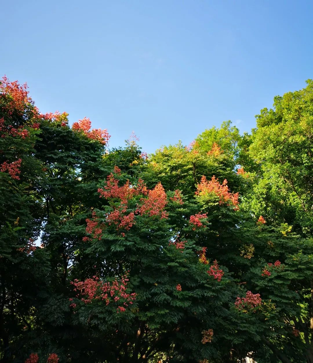 带你看美丽的厦门海边美景,厦门海洋最美丽的风景