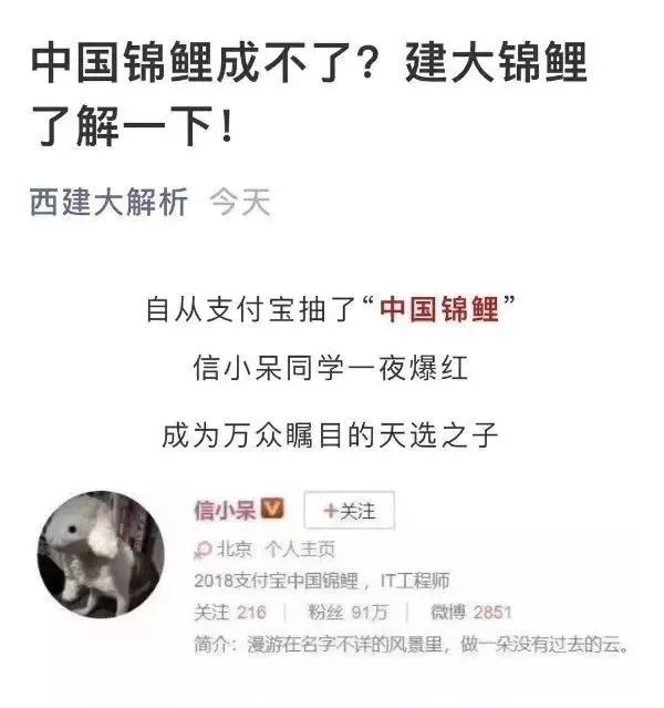 信小呆成为中国锦鲤后的这些年,信小呆目前在做什么