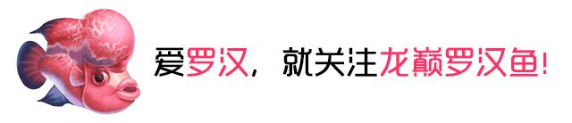 慢性肠炎用中医还是西医治疗好,肠炎食疗最简单方法