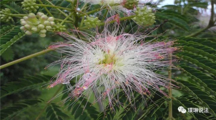 公立医院不能当然地穿透认定为受委托参与交易者——商业贿赂界定中“穿透原则”的适用思考（二）