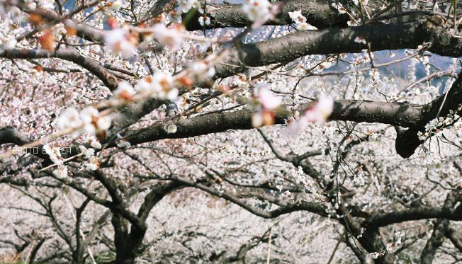 原创关羽同人：你是英雄就注定无泪无悔