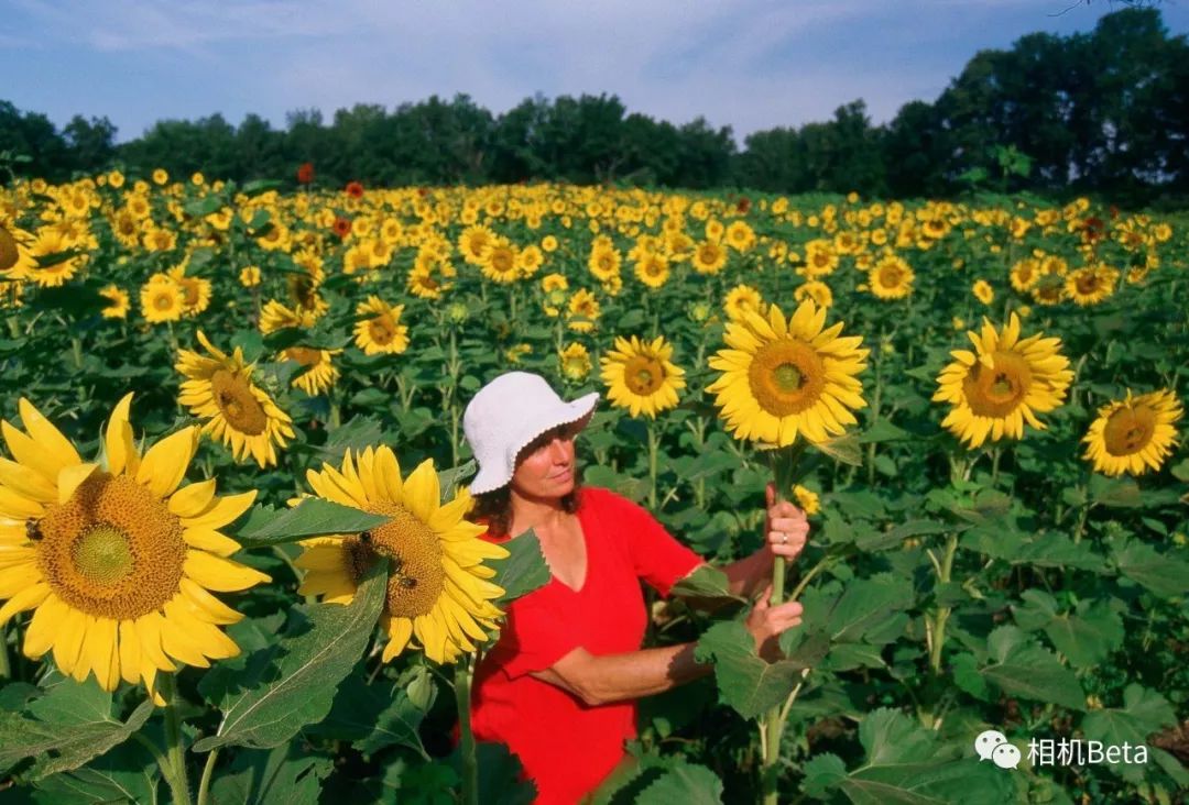 柯达经典胶片,柯达经典反转片