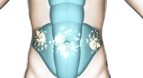 历尽千帆归来仍是美少女,历尽千帆归来仍是少女的下一句