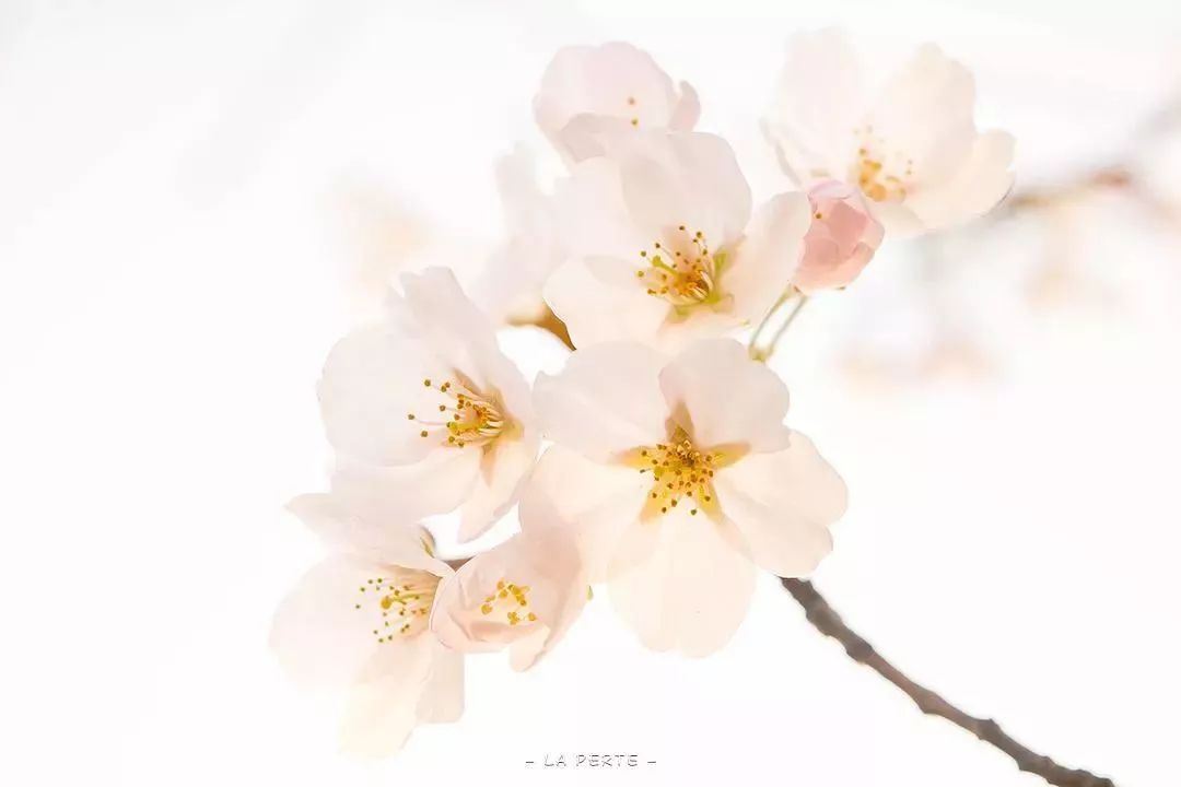 跟秋冬干燥说byebye,和皮肤暗黄粗糙说拜拜