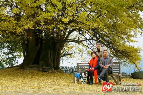 今日霜降节气注意事项,今日霜降一转眼已是深秋